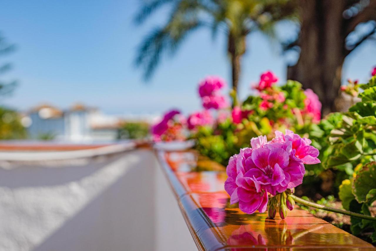 Lirios Village Marbella Dış mekan fotoğraf